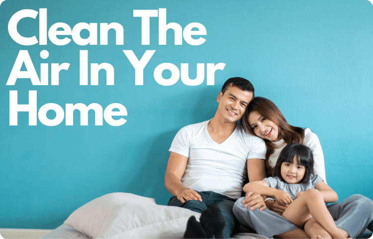 Clean the air in your home graphic
