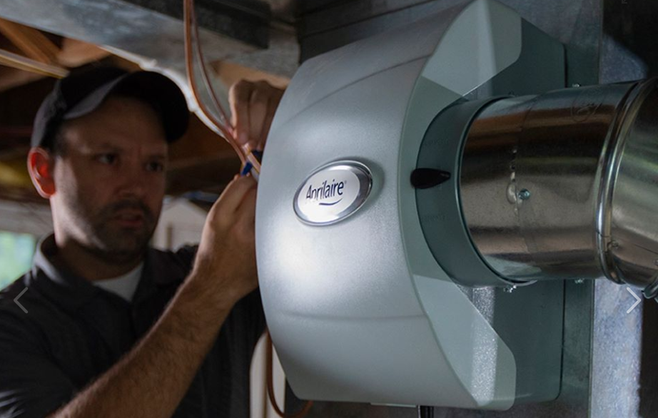 Four Great Reasons To Dehumidify Your Home