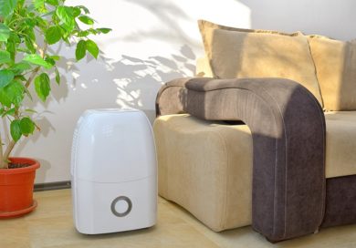 How A Dehumidifier Improves Your Summer Indoor Air Quality in York, PA