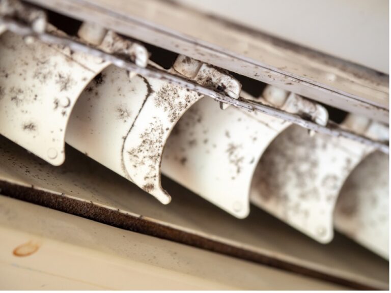 Signs Your AC Unit is Mold-Infected: A Quick Guide