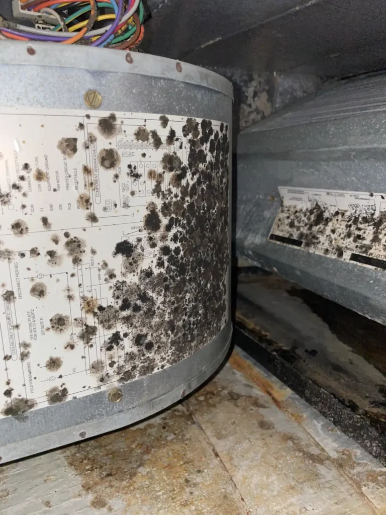Signs Your AC Has Mold in York County, PA – And What To Do About It